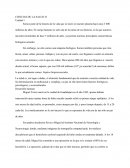 Las ciencias de la Salud.