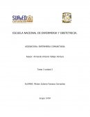 Actividad de aprendizaje 3 EC Actividad Práctica