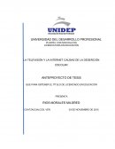 LA TELEVISIÓN Y LA INTERNET CAUSAS DE LA DESERCIÓN ESCOLAR