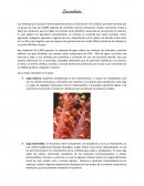 Las medusas son criaturas marinas pertenecientes