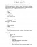 Infecciones del las vías urinarias