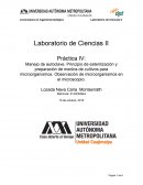 Laboratorio de Ciencias Esterilización y Cultivos