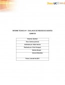 INFORME TECNICO Nº 1 EVALUACIO DE RIESGOS DE AGENTES