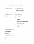 Malformaciones del embarazo