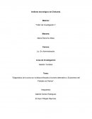 Diagnóstico de la zona sur turística enfocado al turismo alternativo o Ecoturismo del Poblado de Palmar”