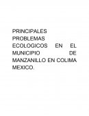 PRINCIPALES PROBLEMAS ECOLOGICOS EN EL MUNICIPIO DE MANZANILLO EN COLIMA MEXICO
