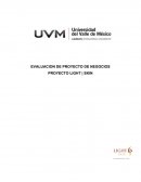 EVALUACION DE PROYECTO DE NEGOCIOS PROYECTO LIGHT | SKIN