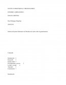 Informe del primer laboratorio de Mecánica de suelos sobre la granulometría