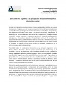 Del conflictivo cognitivo a la apropiación del conocimiento en la interacción escolar.