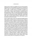 Kant y Georg Friedrich Hegel, la base para estructurar las normas y leyes (naturales y positivas) que permiten la convivencia de los sujetos