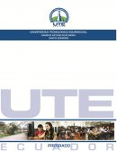 Investigación de Marketing Internacional - Proyecto pimienta líquida