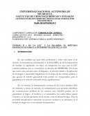 LA LEY Y LA PALABRA; EL MÉTODO GRAMATICAL PARA LA INTERPRETACIÓN DE LA LEY