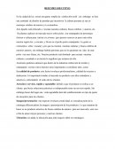 Trabajo de cultura artistica