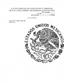 FORMULARIO EMPLAZAMIENTO LABORAL DE PLAYA DEL CARMEN, SOLIDARIDAD, QUINTANA ROO
