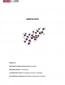 Preguntas sobre el tema de aminoácidos