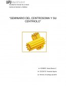 SEMINARIO DEL CENTROSOMA Y SU CENTRIOLO