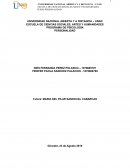 Trabajo de personalidad ¿Qué es personalidad?