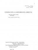 INTRODUCCIÓN A LA MICROBIOLOGÍA AMBIENTAL