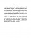 DISCAPACIDAD POR ROCNY MONTES