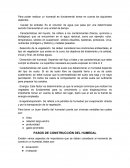 Para poder realizar un humedal es fundamental tomar en cuenta los siguientes aspectos.