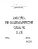 Proyecto de la Sabila: Elaborar un jabón para corregir la imperfección de la piel causada por el acné.