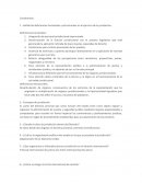 Señala las deficiencias funcionales y estructurales en el ejercicio de la jurisdicción