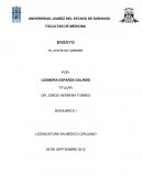 Ensayo sobre "El aceite de Lorenzo"
