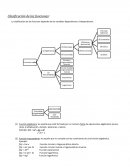 Clasificación de la funciones