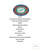 Practica 2 Identificación del CO2, Gases de combustión