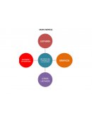 MAPA MENTAL DE CONTROL DE LA CARTERA