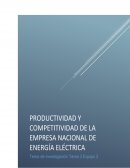 NIVEL DE PRODUCTIVIDAD Y COMPETITIVIDAD DE LA EMPRESA NACIONAL DE ENERGIA ELECTRICA