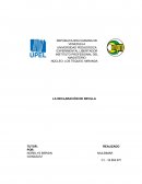 En una reunión ministerial celebrada el 26 y 27 de Abril del año 2002 en Madrid