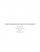 Normativa complementaria para cultura preventiva organizacional