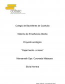 El proyectó se basa en el cuidado del medio ambiente, reciclando y reutilizando materiales que día a día desechamos llamándolos “basura” estos son el papel periódico