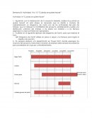 Actividad 14 “Cuando se quiere hacer”