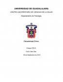 Fisiopatología Clínica.