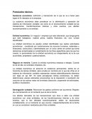 En que consisten los Postulados basicos