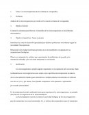 Análisis de los microorganismos por medio de la creación columna de winogasdsky