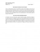 QUE CLASE DE COSAS COMPRARIAS ONLINE?