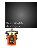 La crónica, un género del periodismo literario equidistante entre la información y la interpretación Dr. Rafael Yanes Mesa