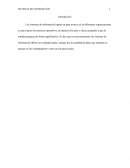 Cuales son los grandes Sistemas de información