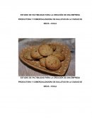 ESTRUCTURA DE UN PLAN DE NEGOCIOS.