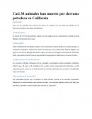 Ensayo de Casi 30 animales han muerto por derramamiento de petroleo