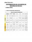 PRACTICA # 02 : “DETERMINACION DE LOS INDICES DE MADUREZ EN FRUTAS”