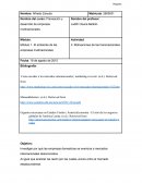 La gran Planeacion y desarrollo de empresas multinacionales