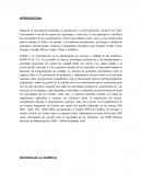 Sopraval es una empresa dedicada a la producción y comercialización de pavos en Chile