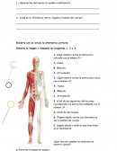 Practica ¿Qué partes del cuerpo te ayudan a sostenerlo?