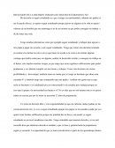 REFLEXION DE LA DECISION TOMADA DE SEGUIR ESTUDIANDO O NO