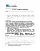 Elabora un mapa conceptual con los siguientes conceptos: alimentos, energéticos, constructores, reguladores, carbohidratos, proteínas, vitaminas, lípidos, minerales