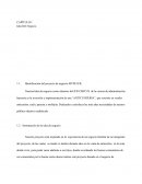 Proyecto de negocios.